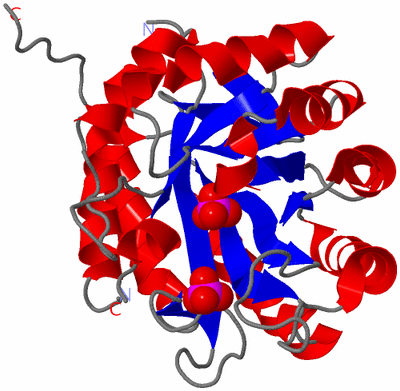 Image Asymmetric Unit