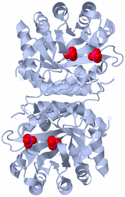 Image Biological Unit 2