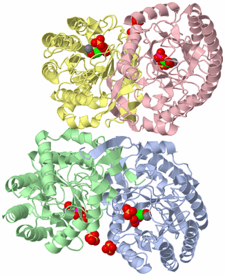 Image Asym./Biol. Unit