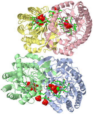 Image Asym./Biol. Unit - sites