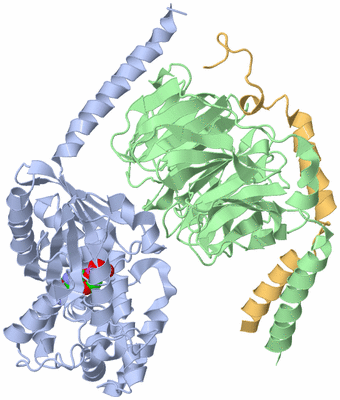 Image Asym./Biol. Unit