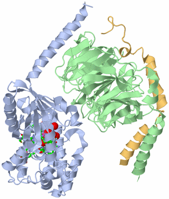 Image Asym./Biol. Unit - sites