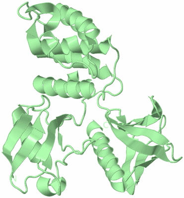 Image Biological Unit 2