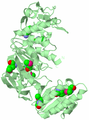 Image Biological Unit 2