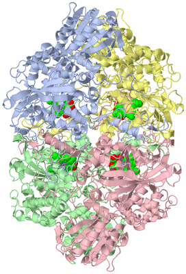 Image Asym./Biol. Unit