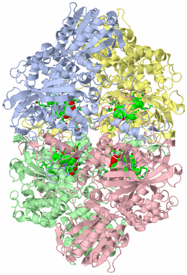 Image Asym./Biol. Unit - sites