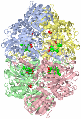 Image Asym./Biol. Unit