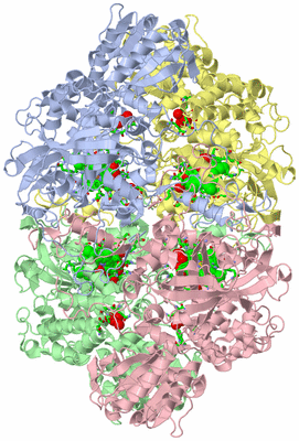 Image Asym./Biol. Unit - sites