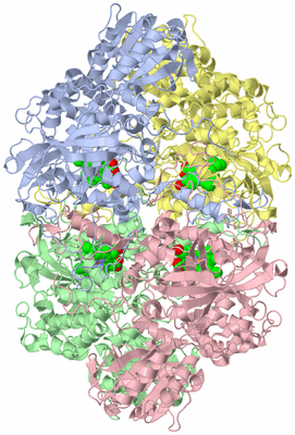 Image Asym./Biol. Unit