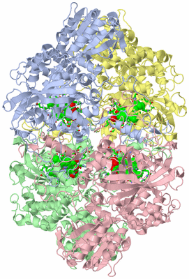 Image Asym./Biol. Unit - sites