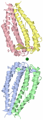 Image Biological Unit 3
