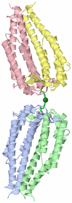 Image Asym. Unit - sites