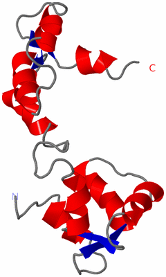 Image NMR Structure - model 1
