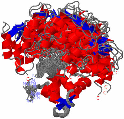 Image NMR Structure - all models