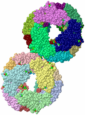 Image Biological Unit 3