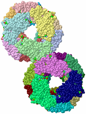 Image Biological Unit 4