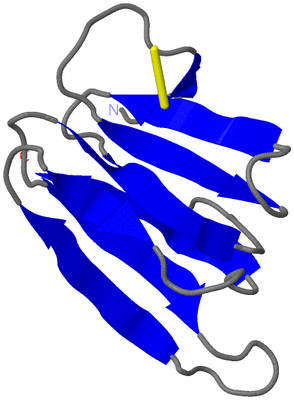 Image NMR Structure - model 1