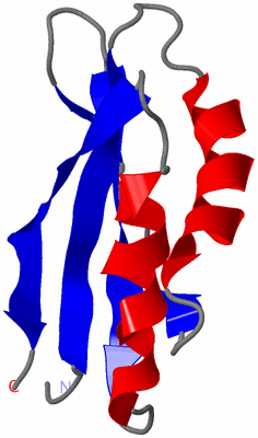 Image NMR Structure - model 1