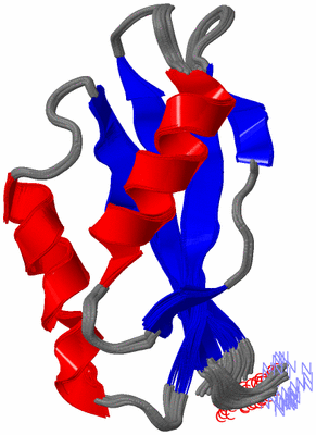 Image NMR Structure - all models