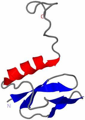 Image NMR Structure - model 1