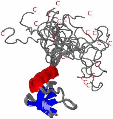 Image NMR Structure - all models