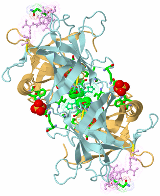 Image Biol. Unit 1 - sites