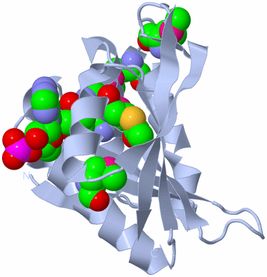 Image Biological Unit 1