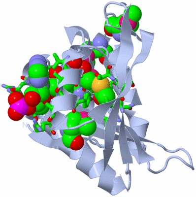 Image Biol. Unit 1 - sites