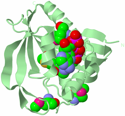 Image Biological Unit 2