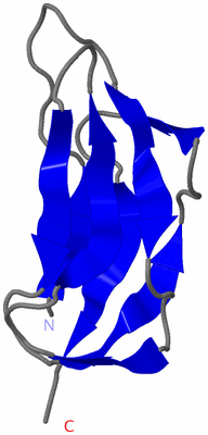 Image NMR Structure - model 1