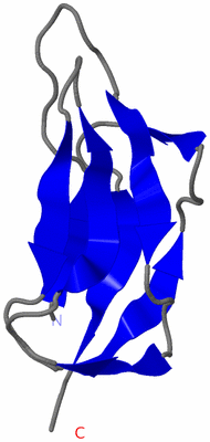 Image NMR Structure - model 1