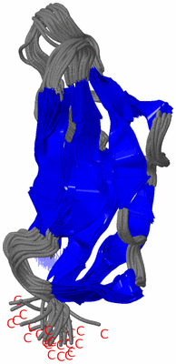 Image NMR Structure - all models