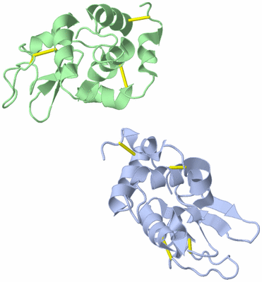 Image Asymmetric Unit