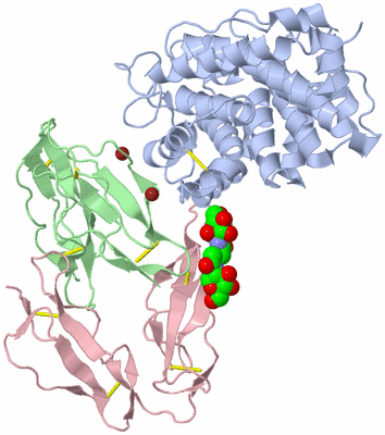 Image Asym./Biol. Unit