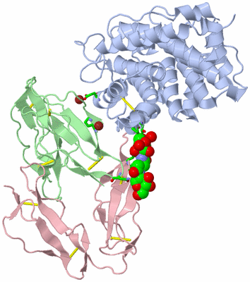 Image Asym./Biol. Unit - sites