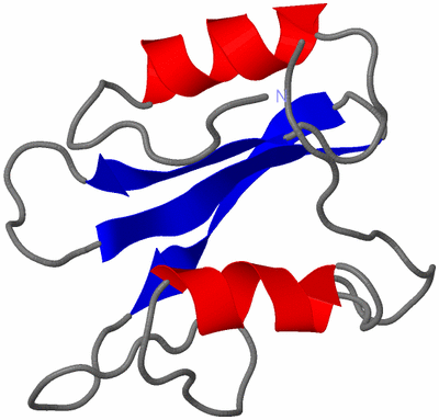 Image NMR Structure - model 1