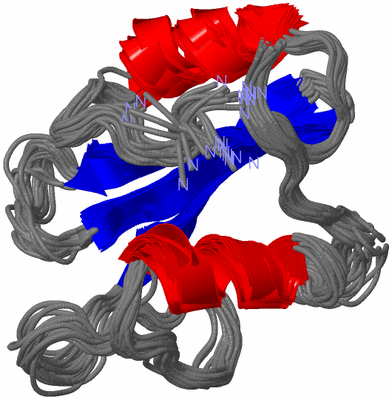 Image NMR Structure - all models