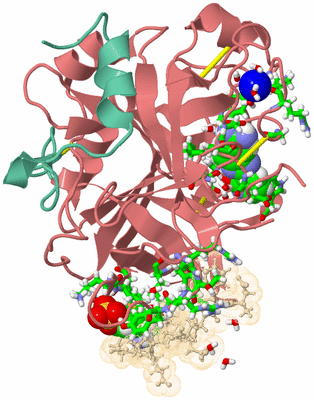 Image Asym./Biol. Unit - sites