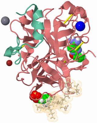 Image Asym./Biol. Unit