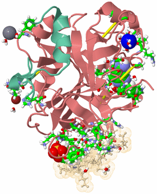 Image Asym./Biol. Unit - sites