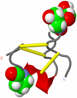 Image NMR Structure - model 1