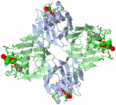 Image Biol. Unit 1 - sites