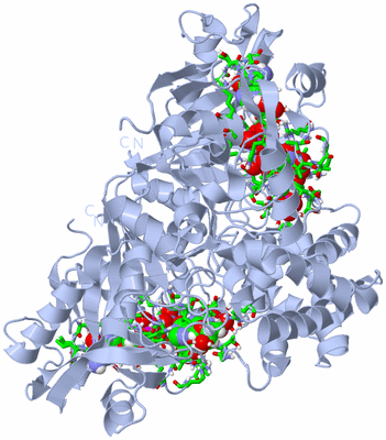 Image Biol. Unit 1 - sites