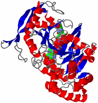 Image Asymmetric Unit