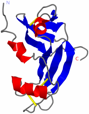 Image NMR Structure - model 1