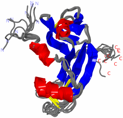 Image NMR Structure - all models