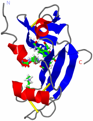 Image NMR Structure - model 1, sites