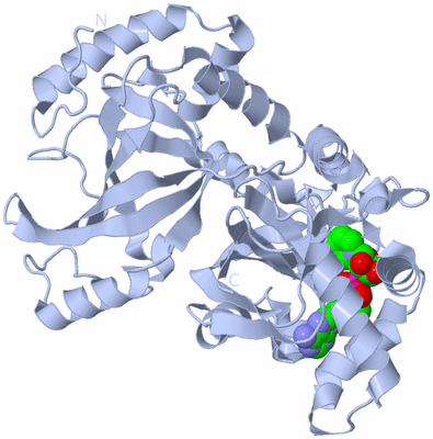 Image Biological Unit 1