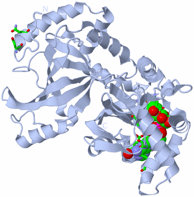 Image Biol. Unit 1 - sites