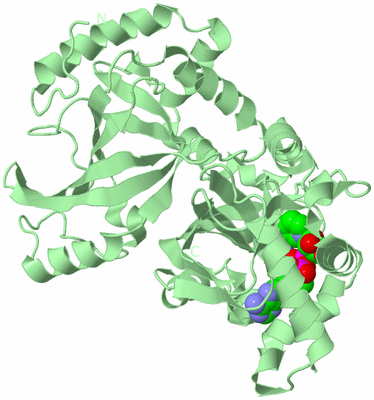 Image Biological Unit 2